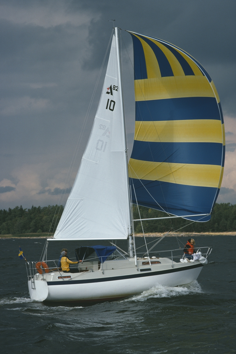 En Albin 82 MS seglar för spinnaker.