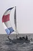 En Albin Viggen seglar för spinnaker.