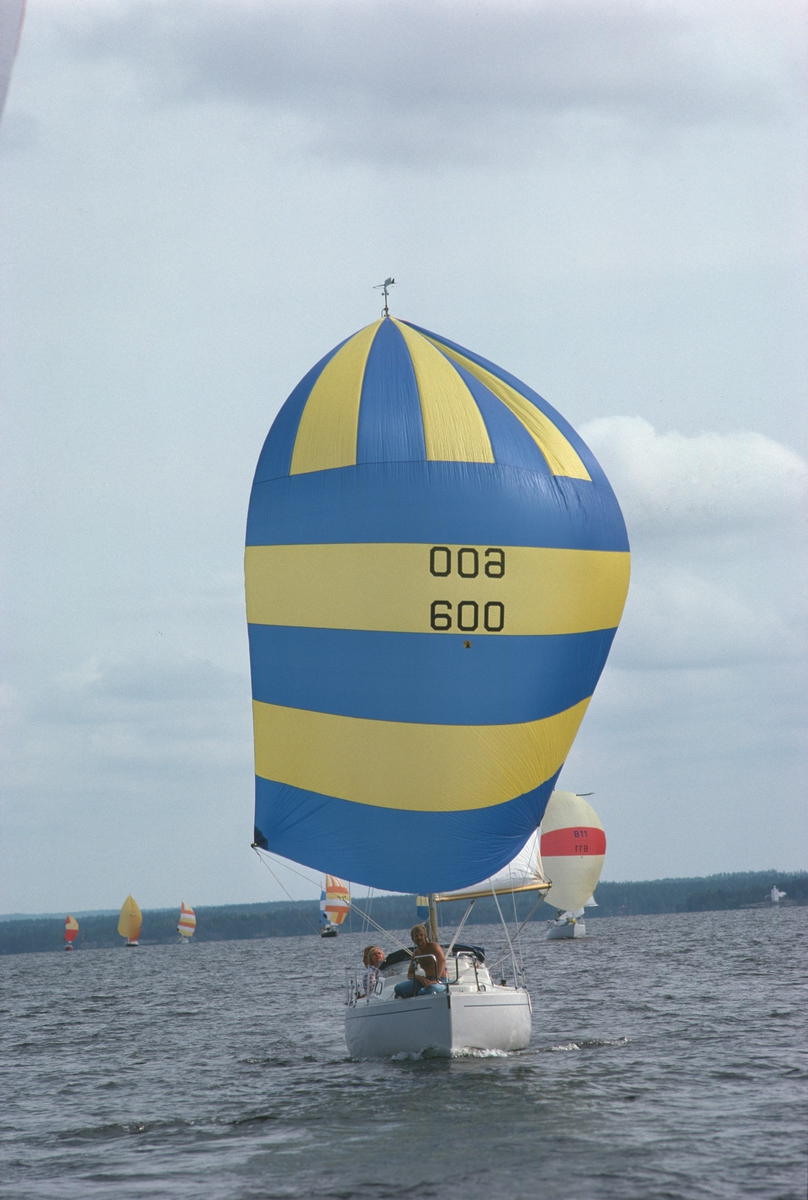 En Albin Viggen seglar för spinnaker.