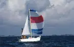 En Albin Viggen seglar för spinnaker.