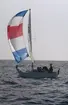 En Albin Viggen seglar för spinnaker.