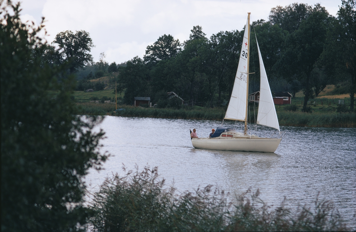 Albin Viggen i en Vänervik.