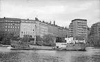 Ägare:/1949-52/: ett partrederi, Huvudredare: K.J. Rebensdorff. Hemort: Göteborg.