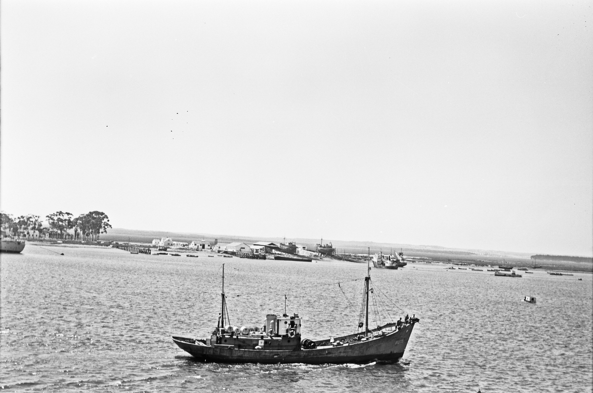 Foto