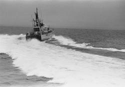 Torpedbåten T 141 Strömstad under gång.