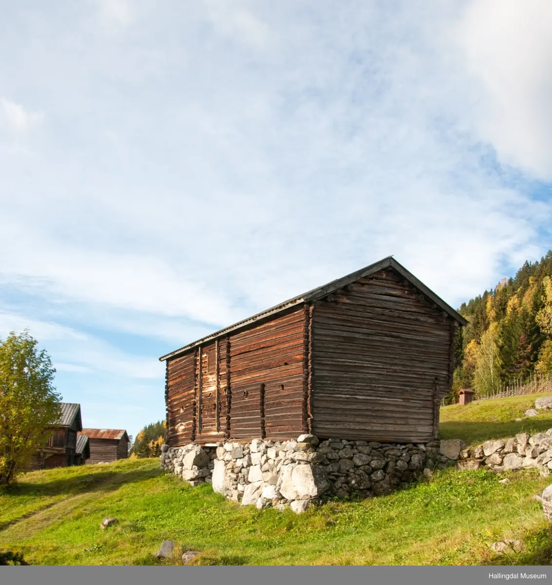 Dette er en stall med trev.  Den er sammensatt av flere tømmerhus som trolig er bygd en gang mellom 1825 og 1850 her på Skaga.  Annen etasje er utkraget og den har bordtak.