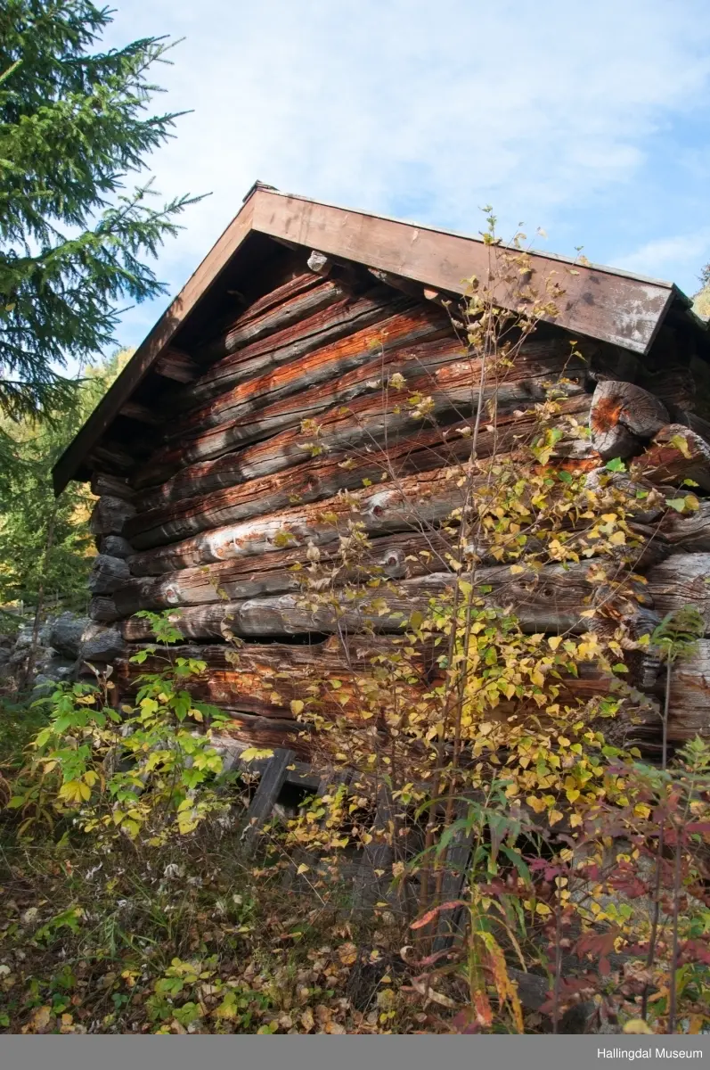 Forløe fra Sjauset.  Tidligere slo folk graset på stølsvoller og i utmark.  Derfor var det vanlig å ha ei forlu på stølen og ei eller flere i utmarka.  Foret ble kjørt hjem på vinterføre med hest og slede.