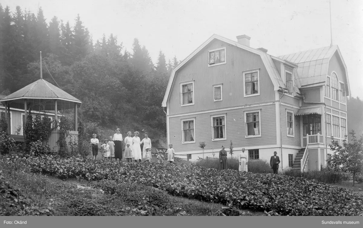 Bostadshuset (byggt 1914 och rivet 1986) vid Klintens handelsträdgård vid Västhagen, Västermalm. Redan 1898 köpte trädgårdsmästare Sven Edvard Andersson Vreten 10 med avsikt att utöka sin produktion av blommor och andra växter till butiken i Sundsvall. Företaget växte och 1924 bildas aktiebolaget Klintens handelsträdgård. På bild 1 (av 4) ses Sven Edvard Andersson stå längst till höger och hans hustru Anna Lovisa i ljus klänning till vänster om honom. Övriga personer är troligen släktingar. Sven Edvard Andersson hade innan anställning som trädgårdsmästare hos disponenten J A Enhöring i Kubikenborg.