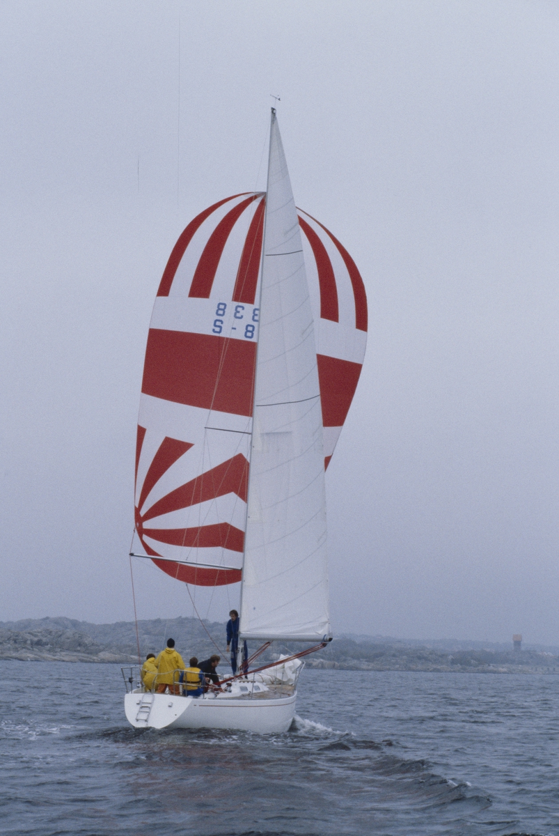 En Albin Nova seglar för spinnaker.