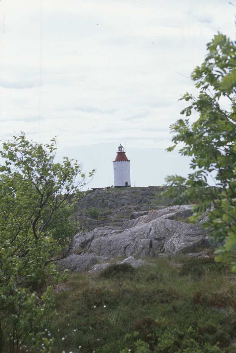 Landsorts Fyr, Öja