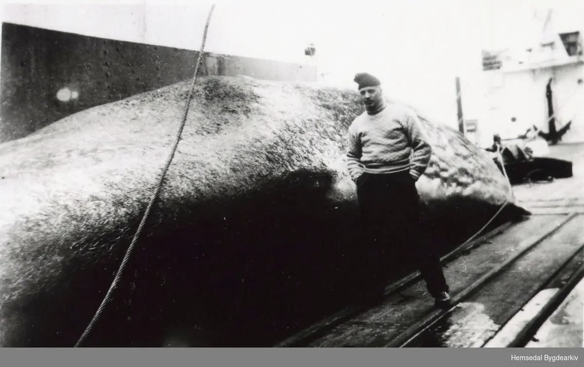 Leif Juvet frå Hemsedal på kvalfangst. Leif reiste ut hausten 1960 og kom att våren 1961.