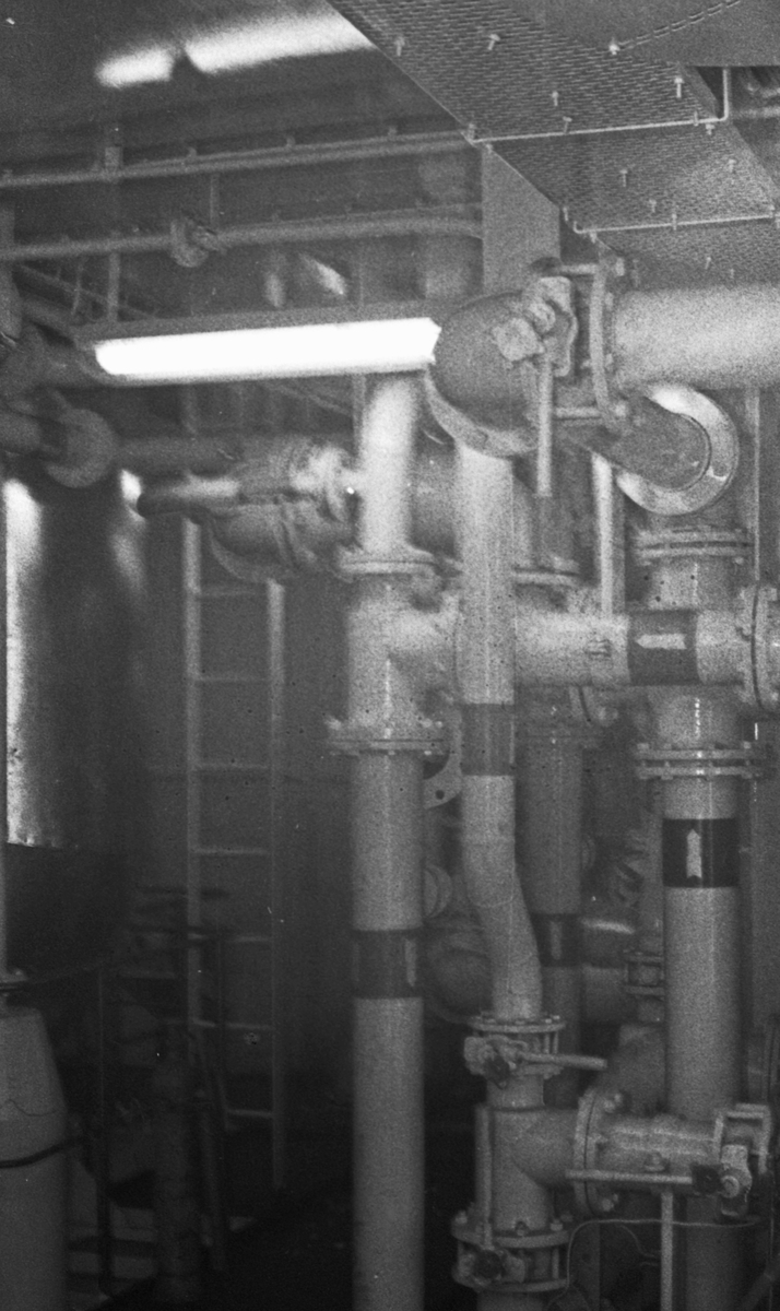 Cape Horn - Overleveringen 30. januar 1971.