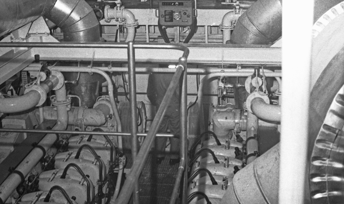 Cape Horn - Overleveringen 30. januar 1971.