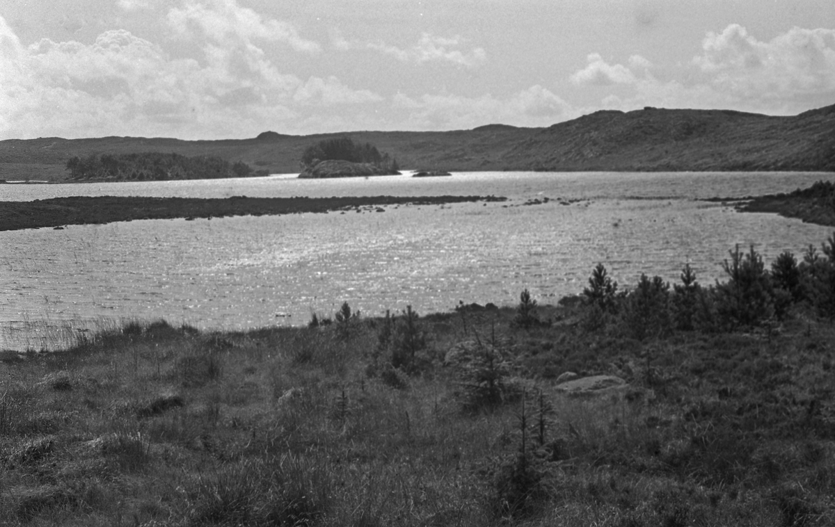 Kongeveien på Karmøy.