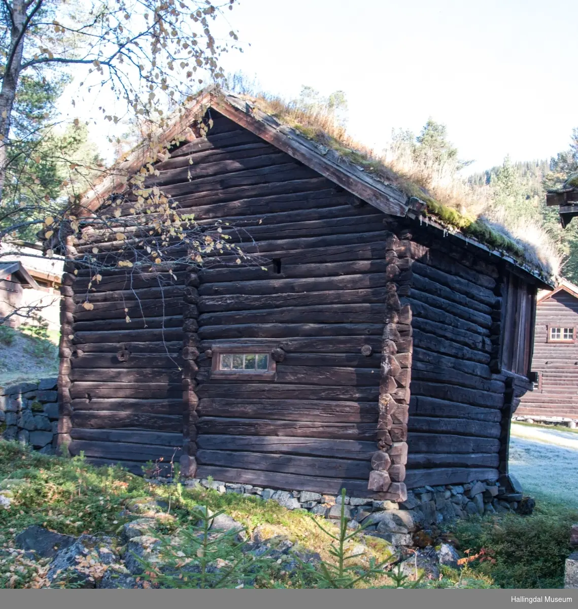 Staller med trev fra Dalen i Hovet
