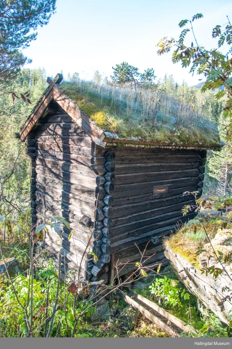 Kvernhus stod i Bergsån og hørte til Nestegard i Hovet