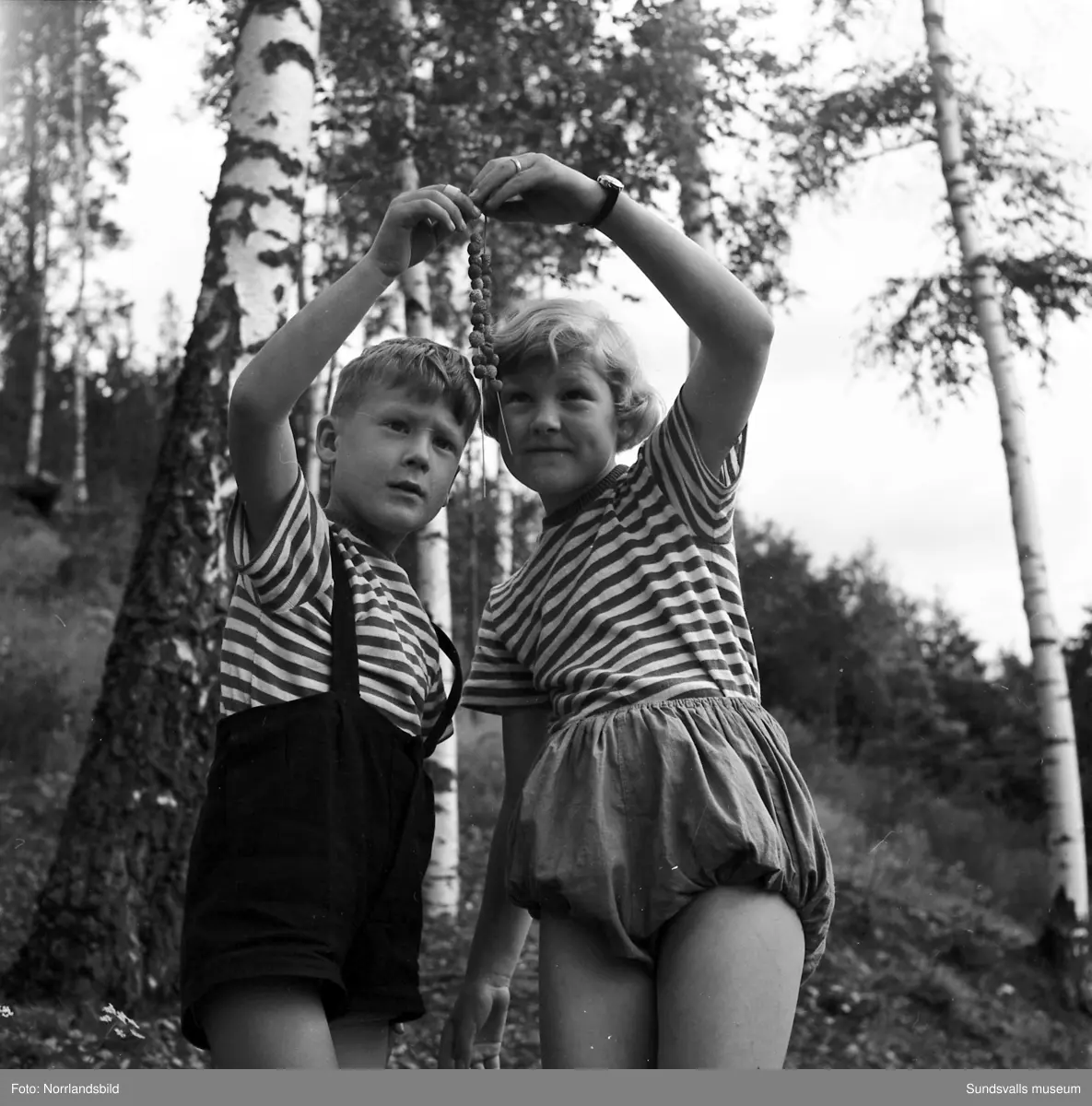 Barnen  Marianne och Christer From plockar smultron på strå.