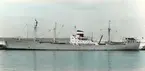 Foto
M/S DALHEM SLITE liggande i Valencia April 1967.