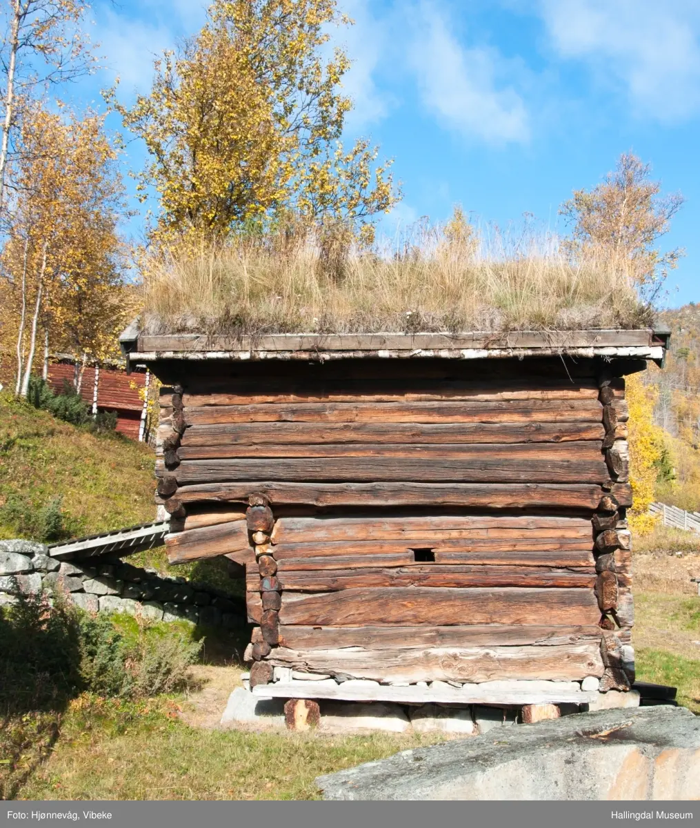 Hestestall fra Hagen på Dagali Museum, Dagali