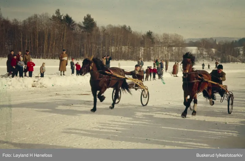 Travløp på Juvern i Norderhov