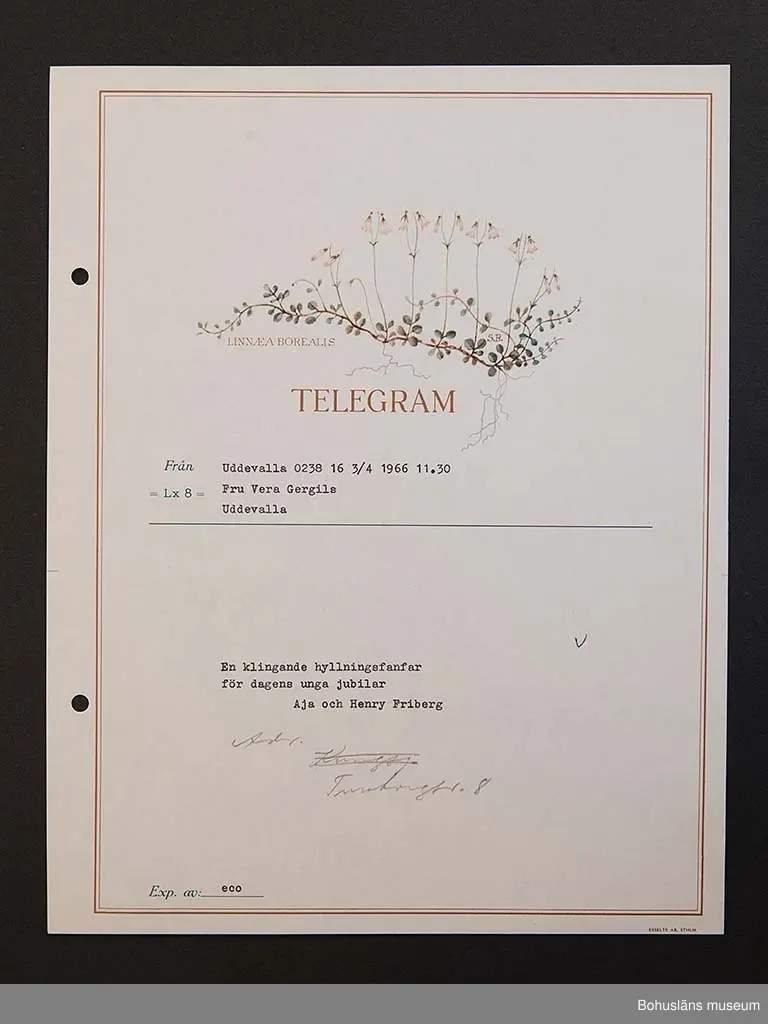 Födelsedagstelegram på papper i flerfärgstryck med maskinskriven text till adressaten. Jubilaren är Vera Gergils, 50 år 1966.