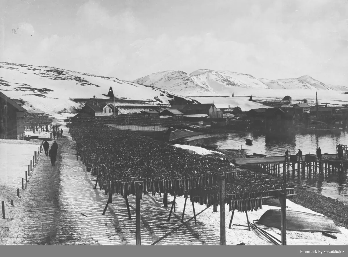 Fiskehjeller ved fjæra i Hammerfest. Ved hjellene går en sti/ smal grusveg der det går folk / menn. Noen menn jobber på kaia lengre inn på bildet. En del av byen ses i bakgrunnen der det står noen hus, pakkhus og andre byggninger.