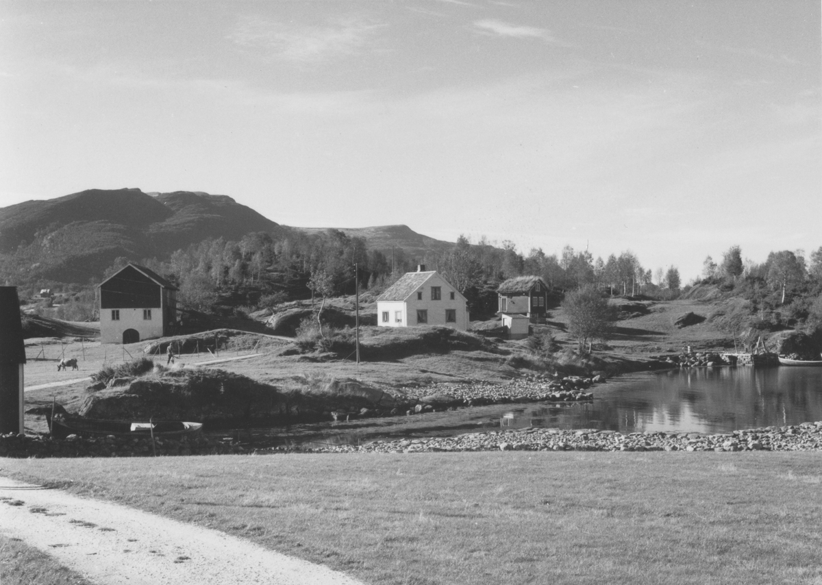 Gården Hanken på Hankeneset i Ålesund Kommune.