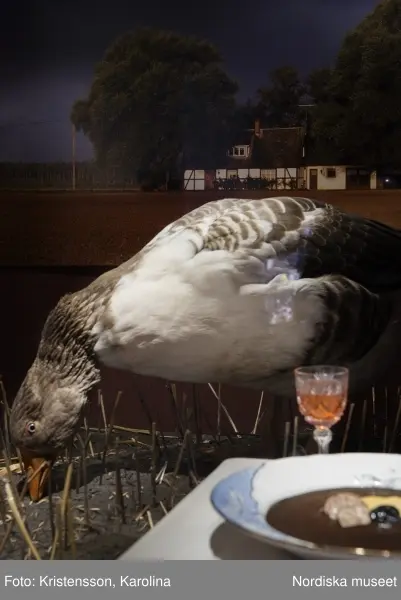 Traditioner, basutställning, detaljer och lite översikt över årets högtider; advent, lucia, jul, tjugonde dag Knut, Andersdagen, gårdstomte i stallet, folktro och midsommar bland annat.