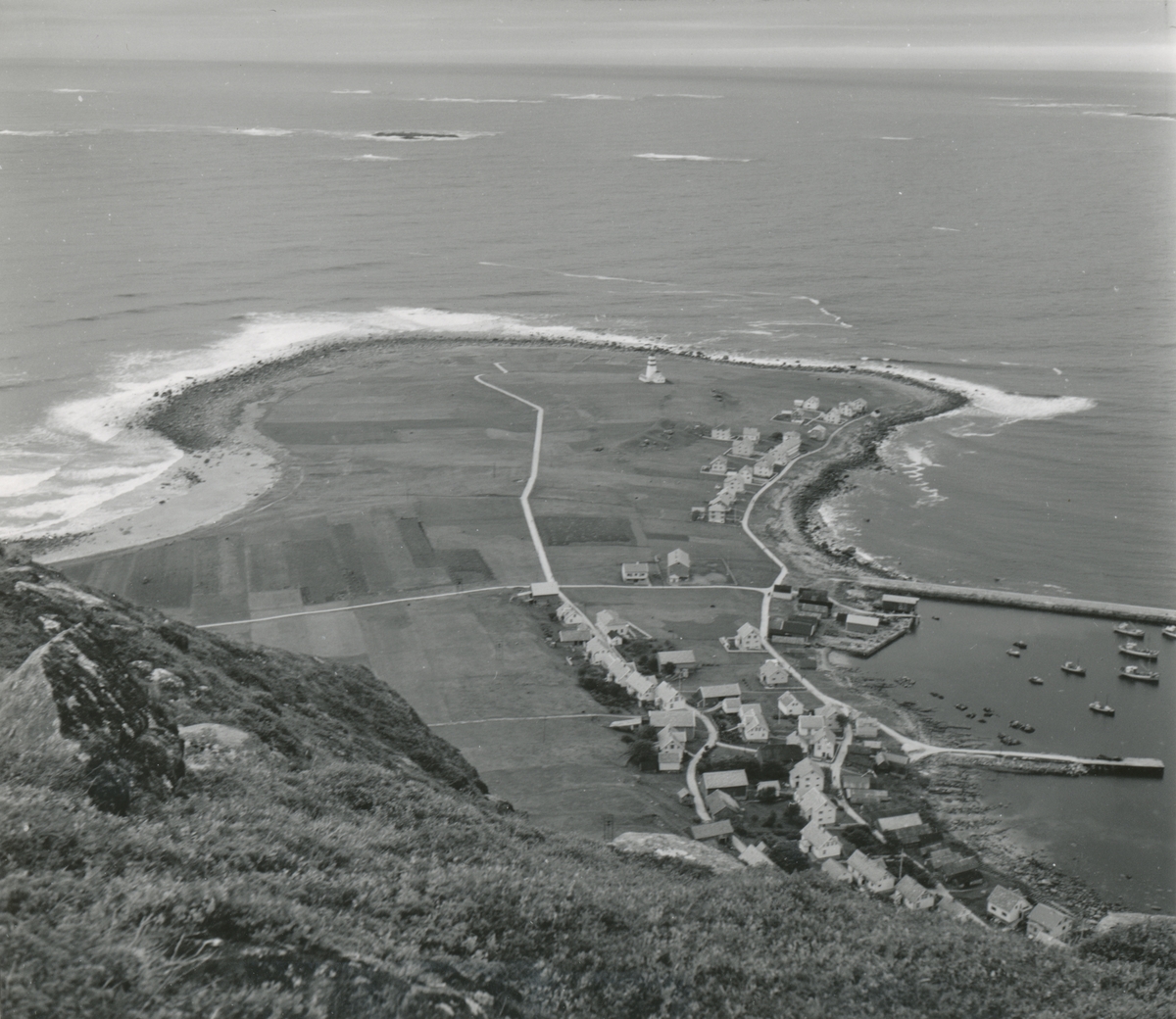 Oversiktsbilder av Alnes der man ser hvordan bebyggelsen er plassert tett sammen. Motiv er tatt fra fjellet over.