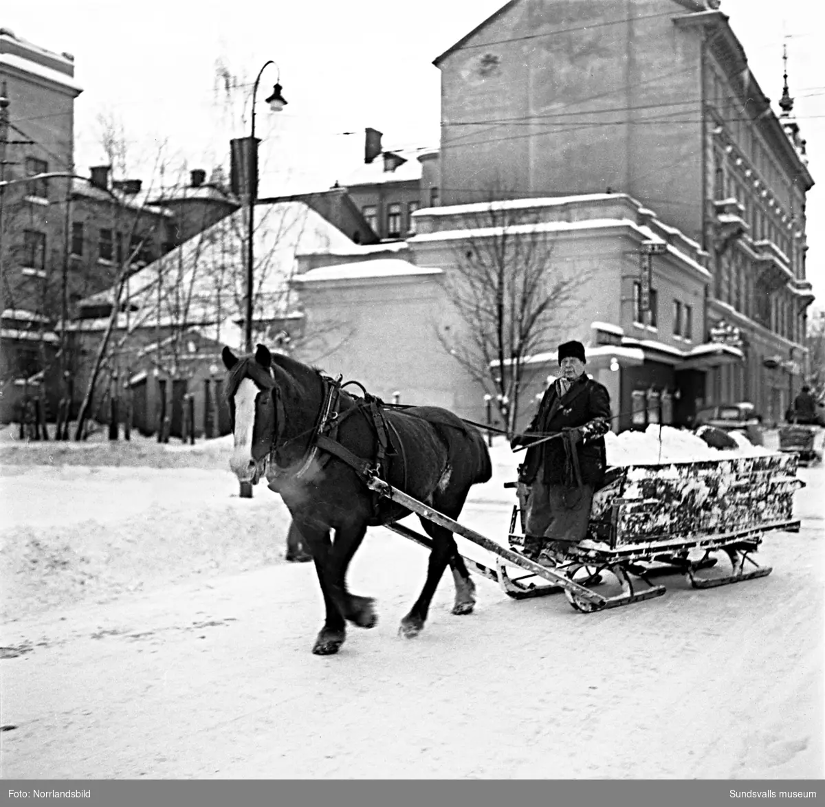 Efter ett rejält snöfall i december 1949 var det full huggning för stadens snöröjare. Elva mil gator och vägar skulle röjas och sandas, själva plogningen sköttes maskinellt men när det sedan var dags för bortforsling av snöhögar och vallar kom de fyrfota trotjänarna fortfarande till sin rätt.  Här är det Axel Svensson som styr Diana nedför Esplanaden för att tippa ännu ett snölass i Selångersån. Renhållningsverket hade 60 man i personalstyrkan vid den här tiden och hade tillgång till 15 lastbilar, varav tre moderna framhjulsdrivna som var mycket användbara i den backiga terrängen, elva snöplogar och två traktorer med snöskopa. Och så de åtta hästarna förstås. Vid katastroftillbud med osedvanlig halka eller hård snöstorm kunde man dessutom ta in 20-30 extra hästar och 20-100 extra arbetare. Den här vintern såg verkets chef, A.S. Nilsson, mycket fram emot en nymodighet på ingång till maskinparken, nämligen snöslungan. Bakom hästekipaget på en av bilderna syns den numera rivna biografen Röda Kvarn.