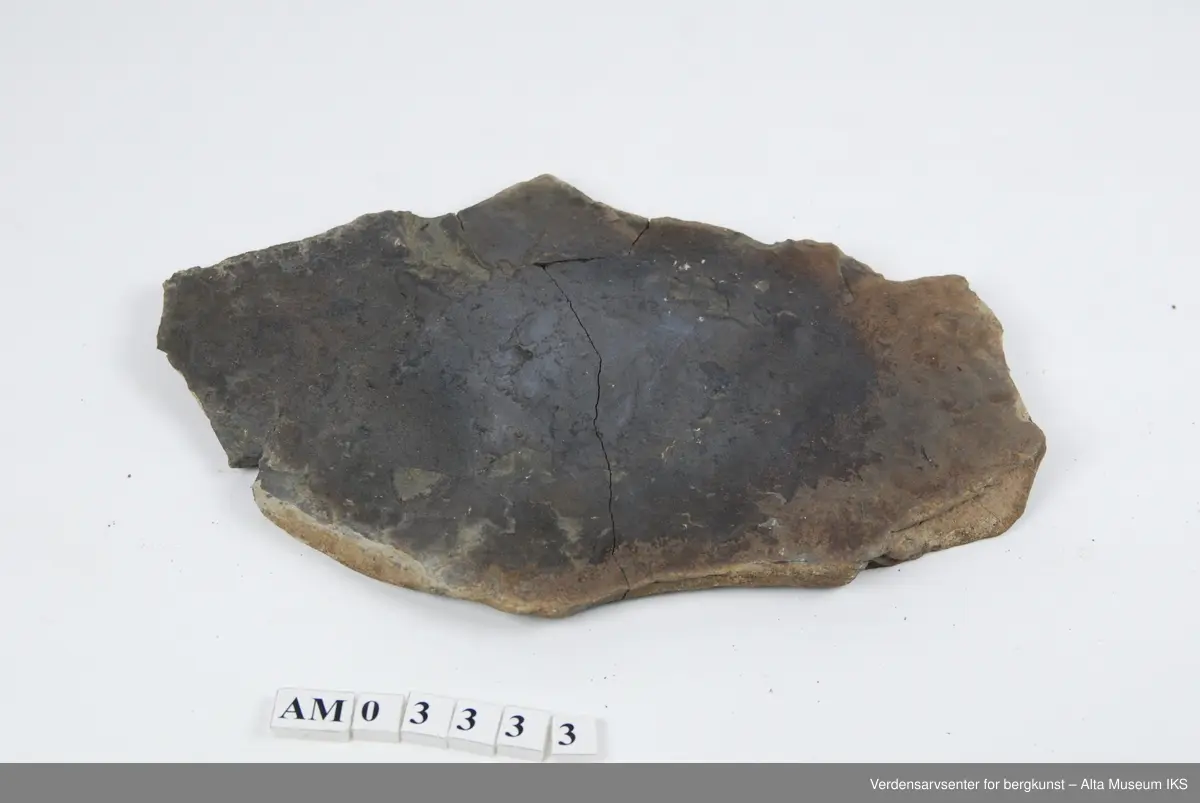 Slamstein (brun) og kvartsitt (gul) m/spor etter mark som har gravet gjennom sediment før det ble herdet. 6 stk. (1 stor + 5 mindre).

Dell av samling v/feltkurs i geologi 1999, Alta.