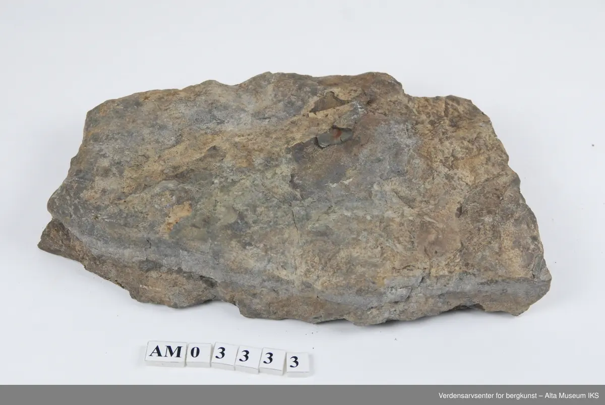Slamstein (brun) og kvartsitt (gul) m/spor etter mark som har gravet gjennom sediment før det ble herdet. 6 stk. (1 stor + 5 mindre).

Dell av samling v/feltkurs i geologi 1999, Alta.
