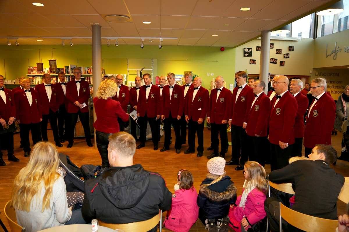 Julestue 2015,Glomdalsmuseet
.Elverum mannskor ,Vestibylen