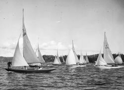 5-metersjakter under KSSS poängseglingar hösten 1943.