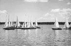 Folkbåtar under Sandhamnsregattan 1948,