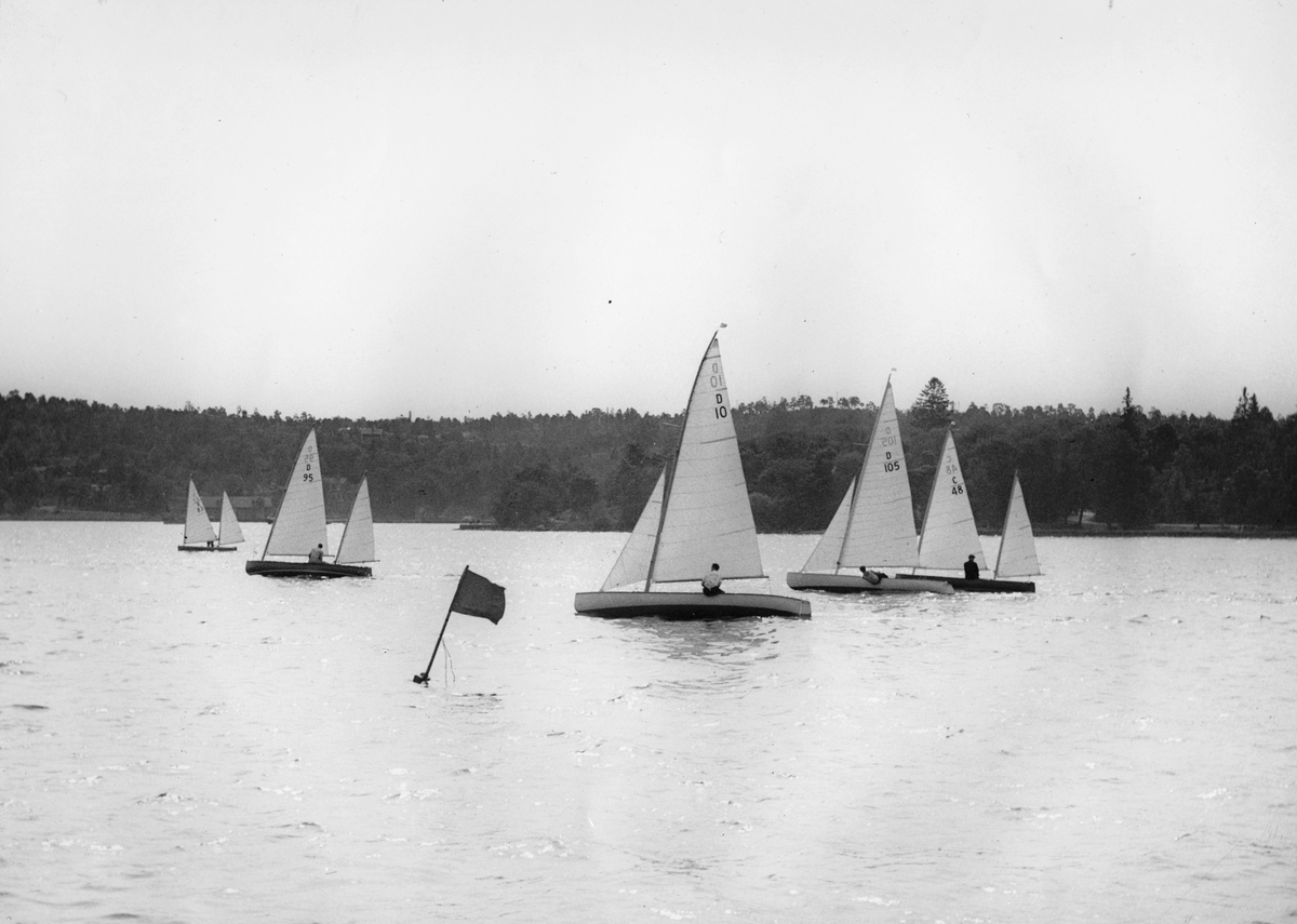 Segelkanoter under kappsegling anordnad av FKI på lilla Värtan.