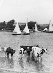 Sport & general
Text & bilder