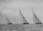 Från Cowes-regattan 1924. Förutom BRITANNIA i mitten ses t v WHITE HEATHER II (b. 1907, konstr. William Fife) och t h SHAMROCK IV (b. 1914, konstr. Charles E. Nicholson).