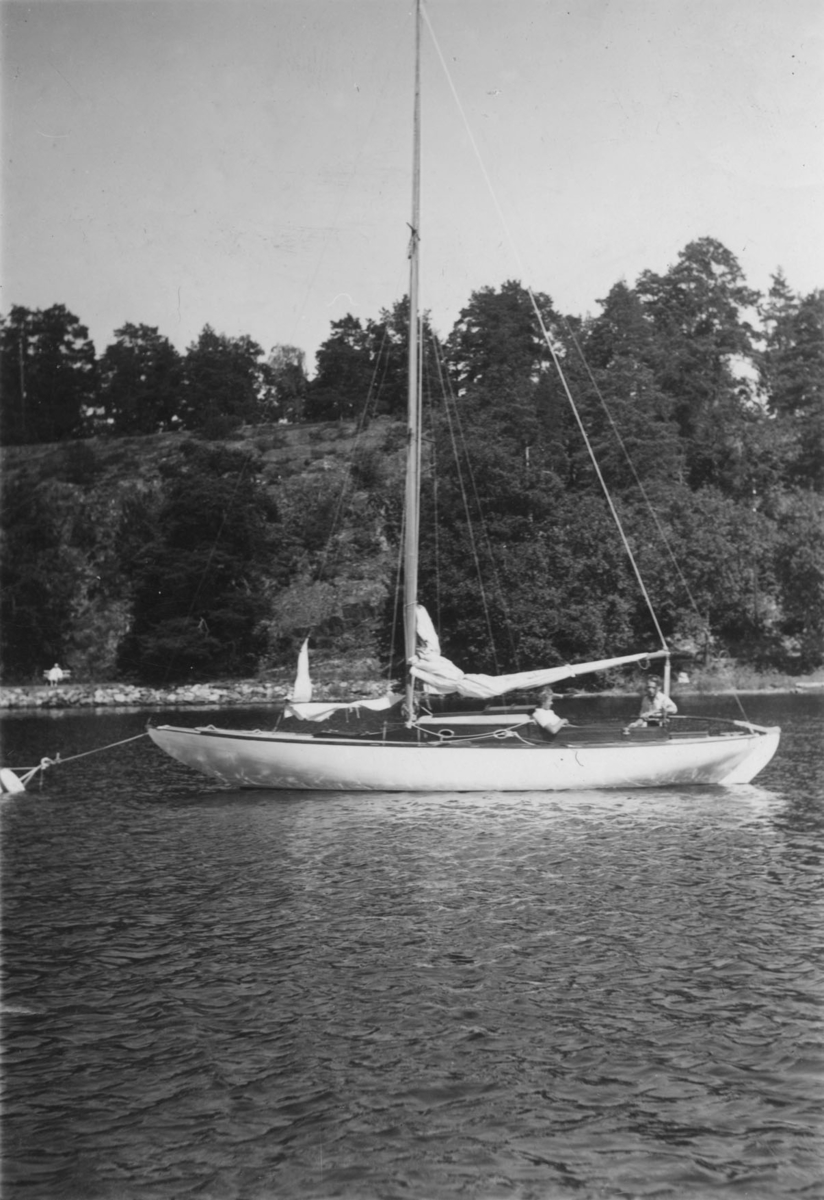 Fo134461