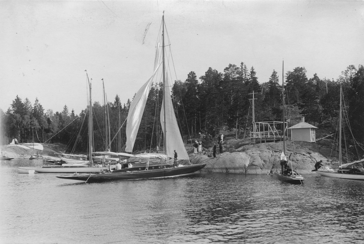 Fo134771