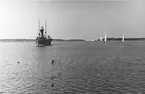 Fyrskepp nr 24 RESERV på Kanholmsjärden i samband med juniregattan 1936