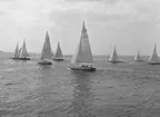 Folkbåtar under Sandhamnsregattan 1943.