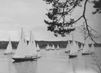 4-metersjakten och stjärnbåtar under KSSS poängseglingar i Saltsjöbaden hösten 1943.