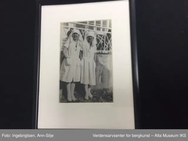 Seks rektangulære rammer med glass. Rundt hvert bilde er det et hvitt paspartoute. Midt på rammens overside er det skrudd fast et rundt oppheng. 
Bilde A: En sykepleier i uniform.
Bilde  B: To sykepleiere i uniform.
Bilde C: En gruppe mennesker som ligger i gress.
Bilde D: En gruppe damer og barn som sitter i gress.
Bilde E: En gruppe ansatte utenfor bygningen.
Bilde F: Oversiktsbilde av Jansnes.