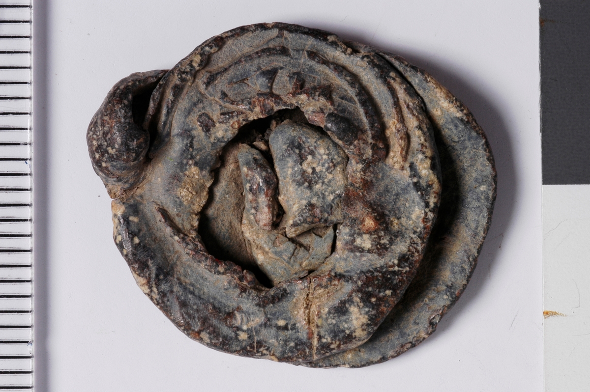 Vareplombe med to plaketter og streng bevart. Advers plakett er hel mens revers plakett er hullet etter naglen. Begge sider har rester av preg, revers plakett har preg av noe som kan være et våpenskjold, advers plakett er ubestemt. 