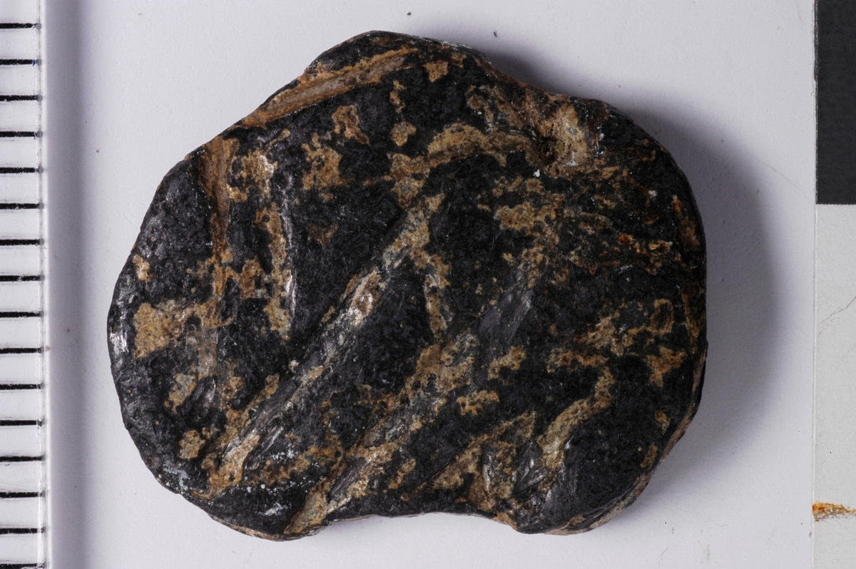 Begge sider viser Konturer av et våpenskjold. den ene siden viser et mulig skrått bånd fra øverst til venstre og ned til høyre som deler skjoldet. den samme plaketten har svake antydninger til kroppen av et stående fabeldyr til høyre for skjoldet. 