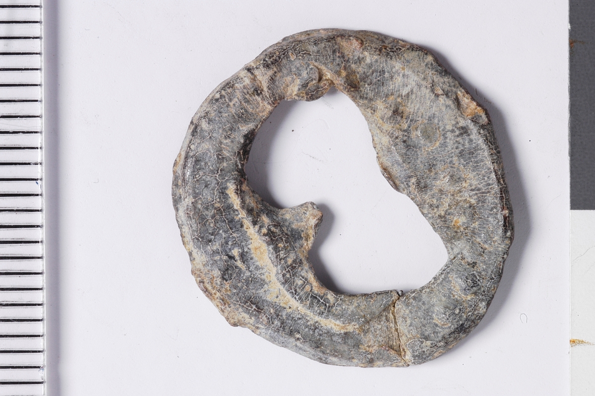 Del av vareplombe i form av en plakett med rest av streng. Gjenstanden har et hull i midten formet som et åttetall, noe som tilsier at vareplomben har hatt to nagler.  Det er tegn til preg samt en perlerad langs kanten av plaketten. Preget er utydet. 