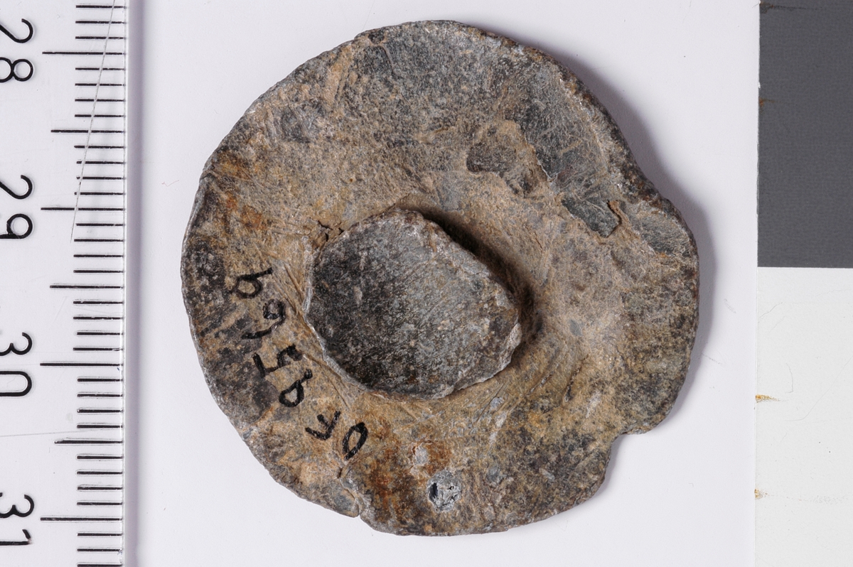 Vareplombe bestående av en plakett samt naglen. Gjenstanden har tegn til preg på ene siden, mulig skjoldmotiv of deler av en legende. 