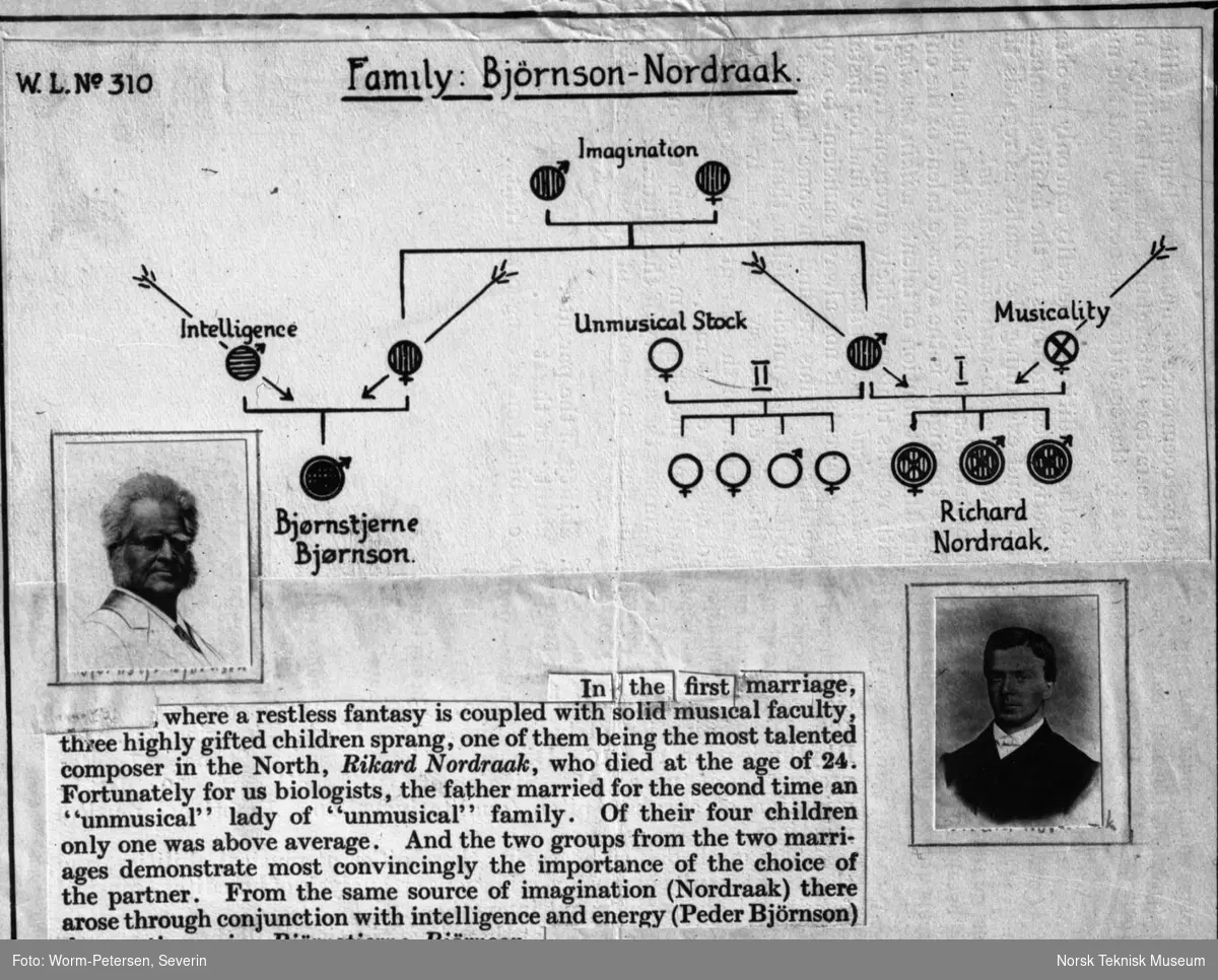 Skjema over arverekker/stamtre "familien Bjørnson-Nordraak"