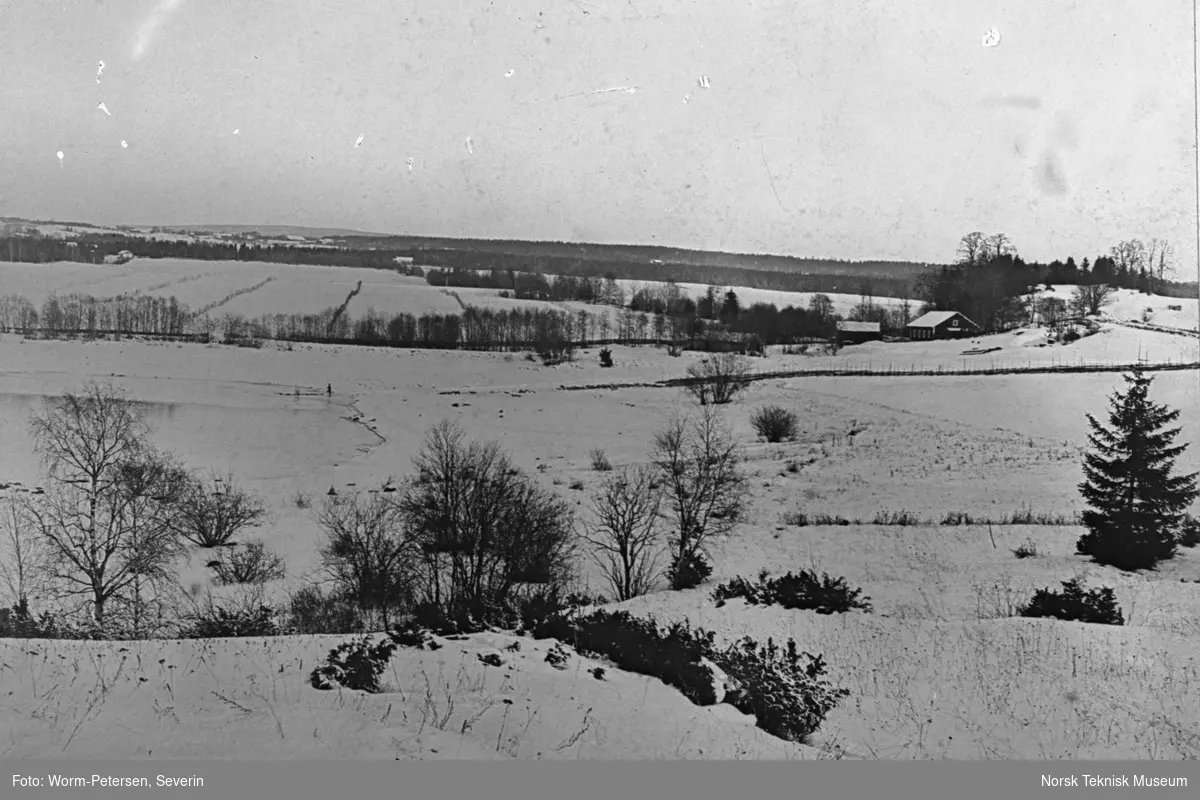 Landskap, skog og åkrer